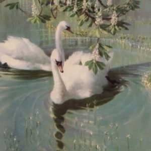 Meet your Posher, Cleo